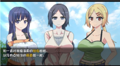 夏日狂想曲汉化版