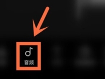 汽水音乐李跳跳版