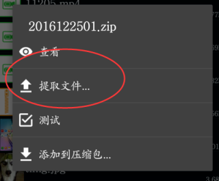 老外管理器pro绿色版