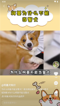 噗叽（原快手概念版