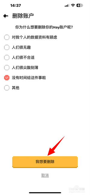 Hay正版