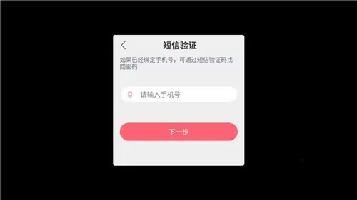 战双帕弥什手游