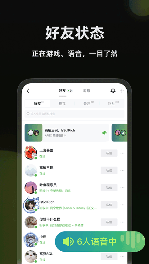 黑盒语音截图1
