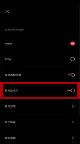 剪映Capcut