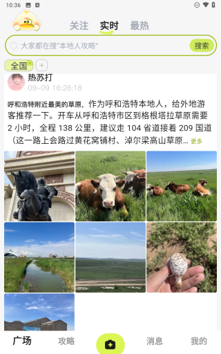 游鸭