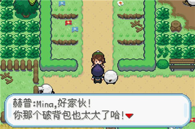 口袋妖怪剑盾gba7.0截图2