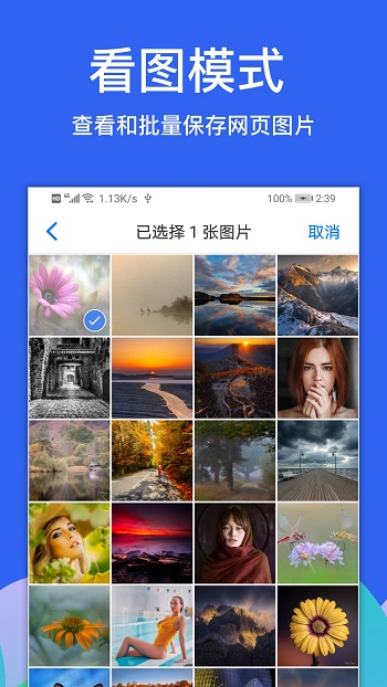 alook浏览器最新版截图3