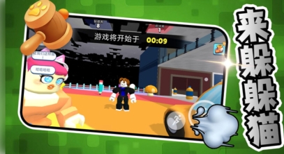 混乱与秩序截图1