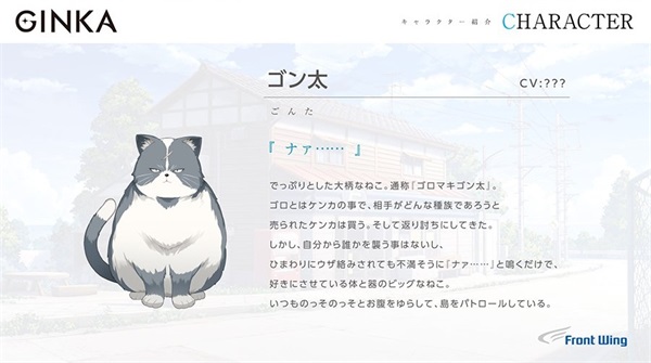 GINKA直装版