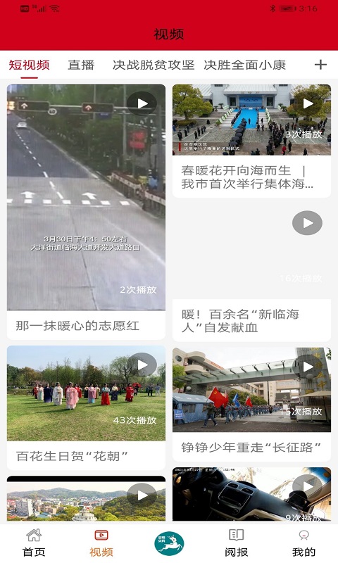掌心临海截图1