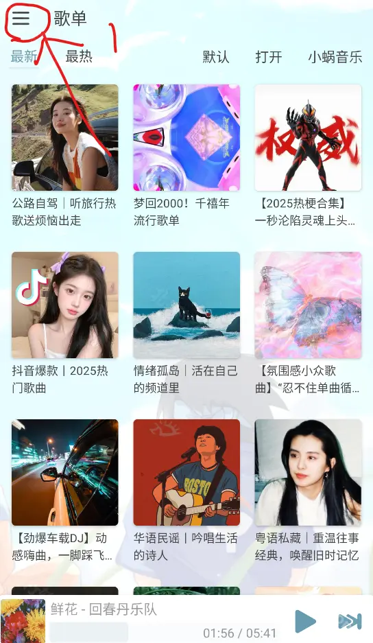 落雪音乐pro版