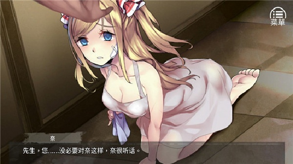 奈的教育日记游戏