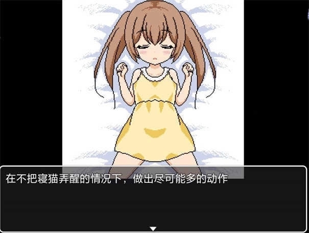 熟睡中的猫咪