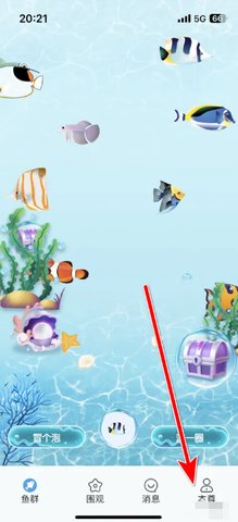 非鱼之乐app