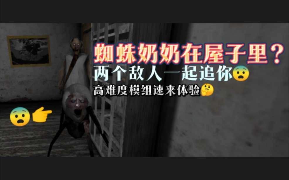 恐怖蜘蛛奶奶中文版截图2
