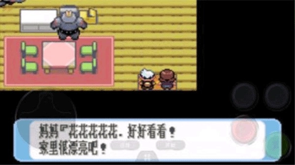 神奇宝贝红宝石