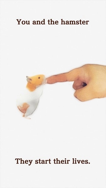 我的仓鼠中文版截图0