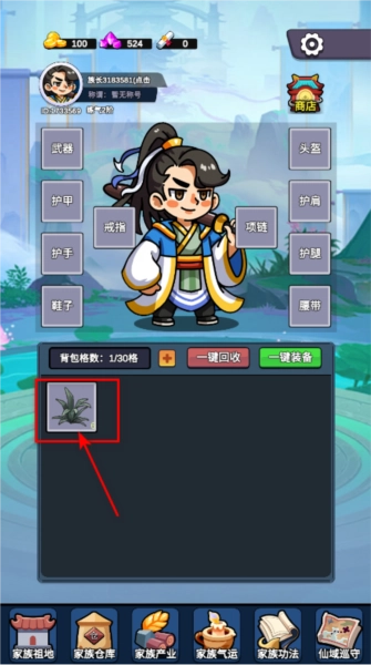 家族：崛起与传承
