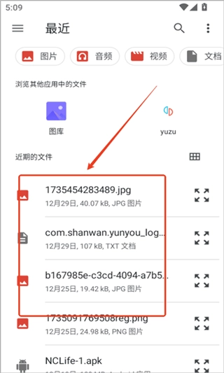NetherSX2模拟器官网版