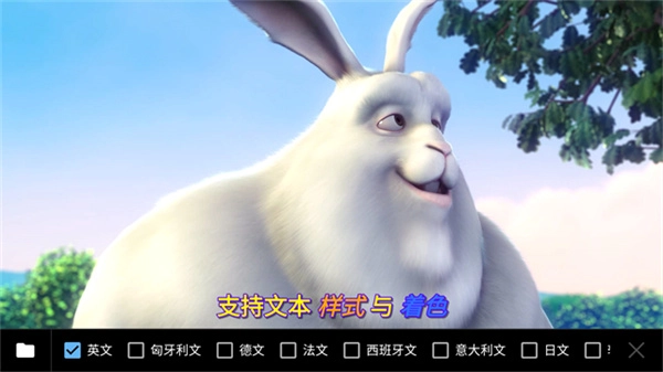 MXPlayer中文版截图2