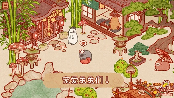 兔兔岛正版截图4