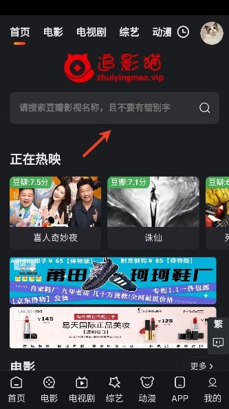 追影猫