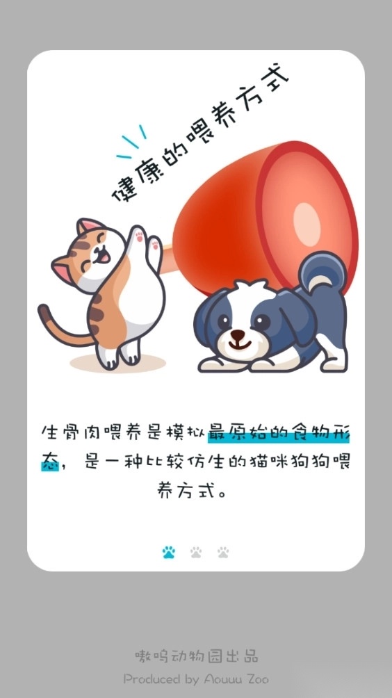 嗷呜猫狗食谱截图1