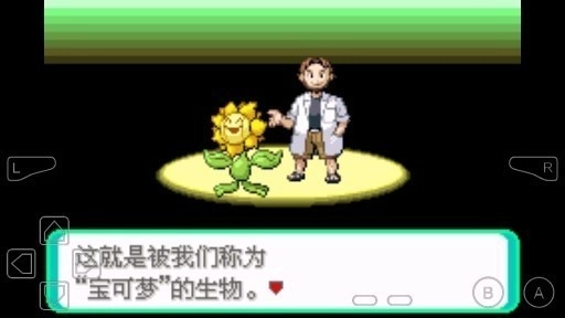 口袋妖怪增强绿宝石截图2