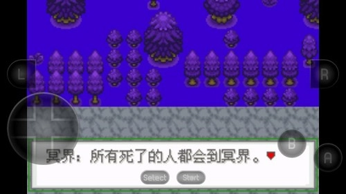 口袋妖怪生与死截图2