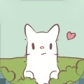 猫和汤