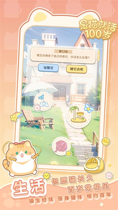 是猫就活100岁游戏截图2