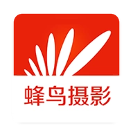 蜂鸟摄影