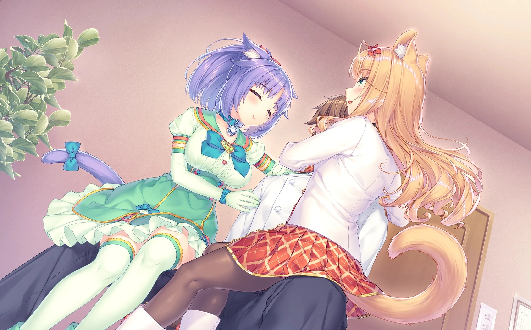 猫娘乐园4冷狐版