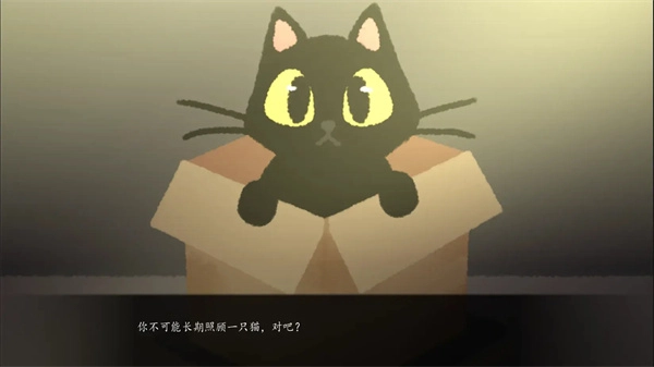 别带这只猫回家截图0
