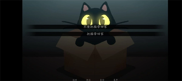 别带这只猫回家