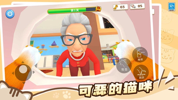 肥猫爱拆家正版
