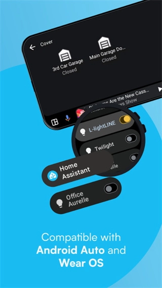 HomeAssistant截图3