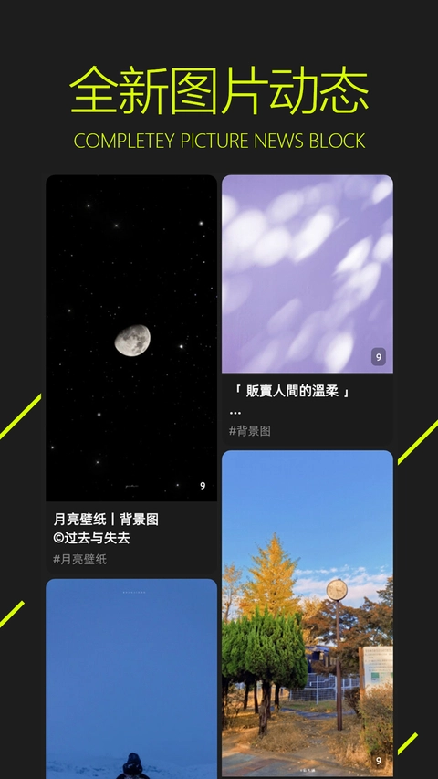 图凌壁纸最新版截图1