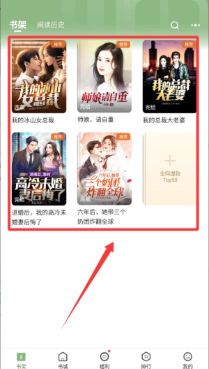 格子小说