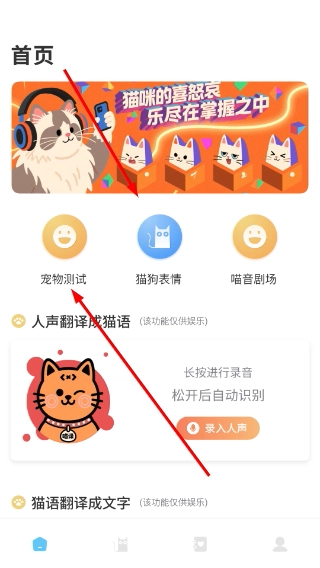 猫咪语言翻译器