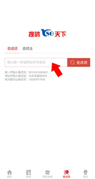 搜鸽天下