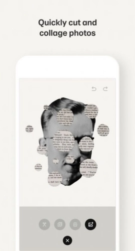 paper截图1