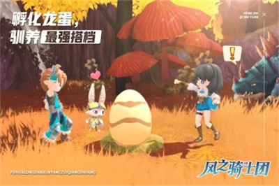 风之骑士团