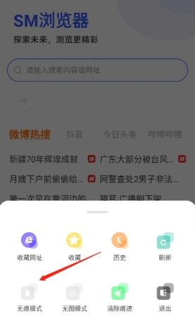 SM浏览器免费版