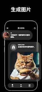 Nova截图3
