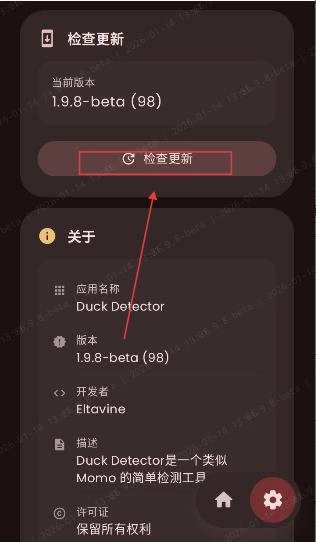 Duck Detector
