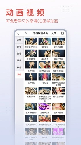 3Dbody艺用截图3