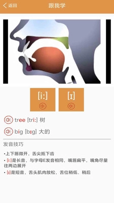 大猫英语国际音标截图2