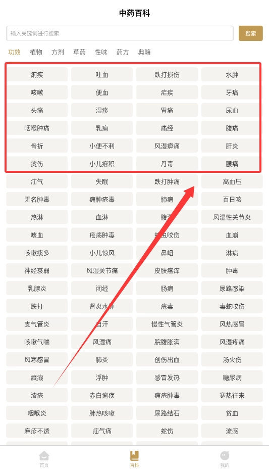 中医穴位图