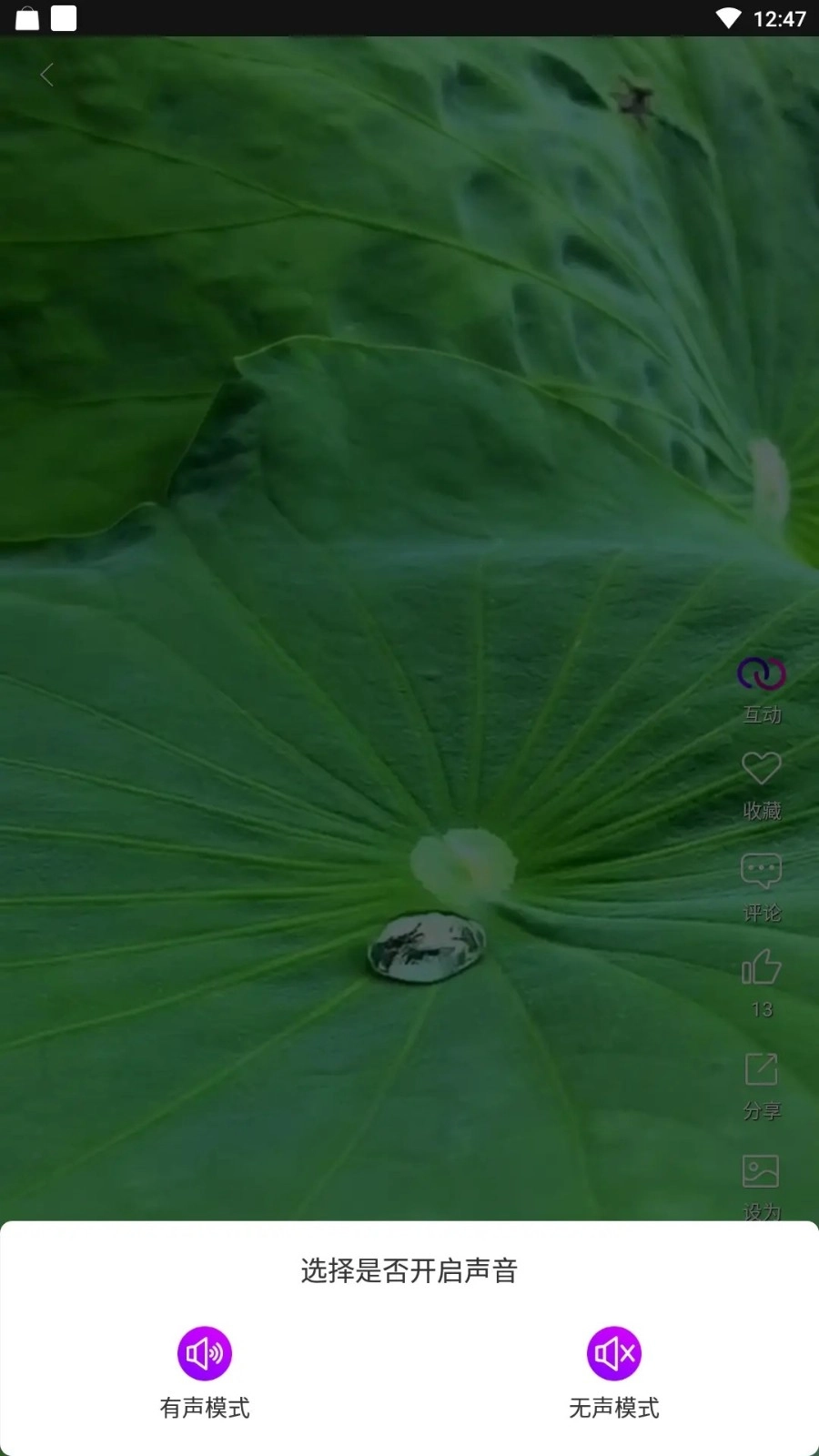 炫彩壁纸秀正版截图2